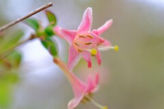 散歩の途中で。⑧