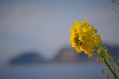 散歩の途中で。3