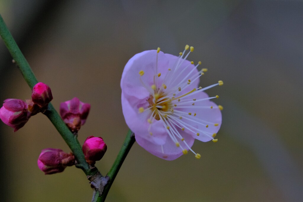 散歩の途中で。Ⅶ