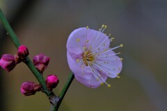 散歩の途中で。Ⅶ