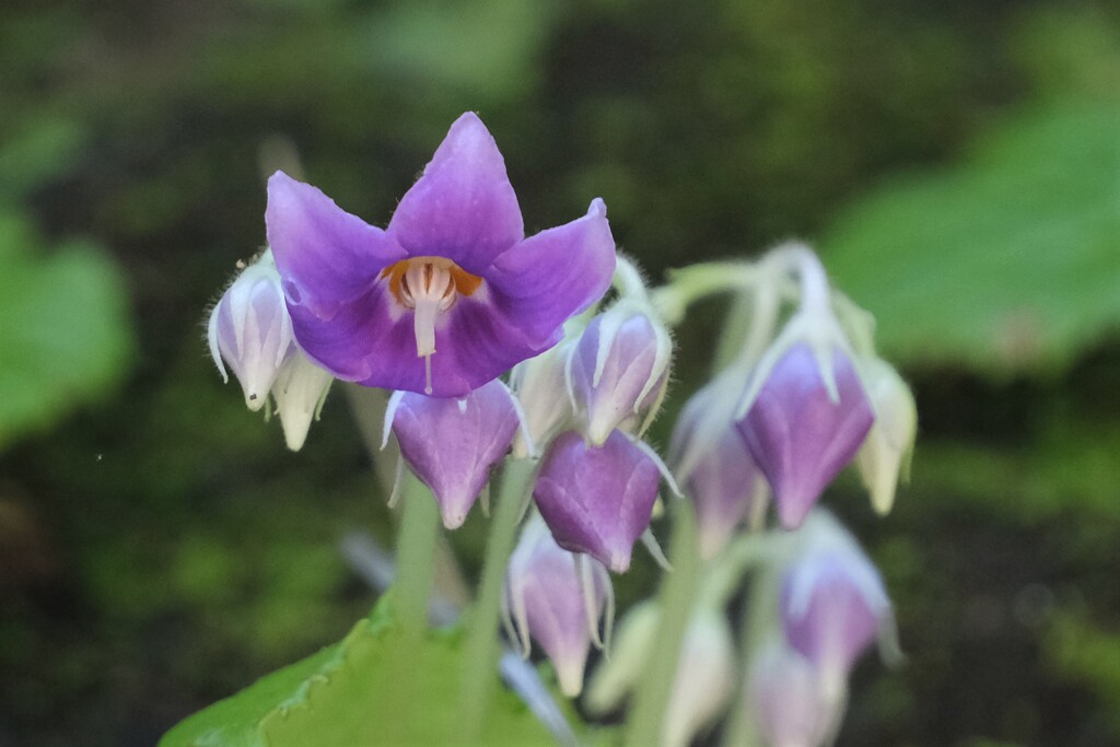 散歩の途中で。④