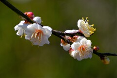 散歩の途中で。Ⅲ