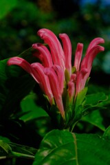 散歩の途中で。Ⅴ