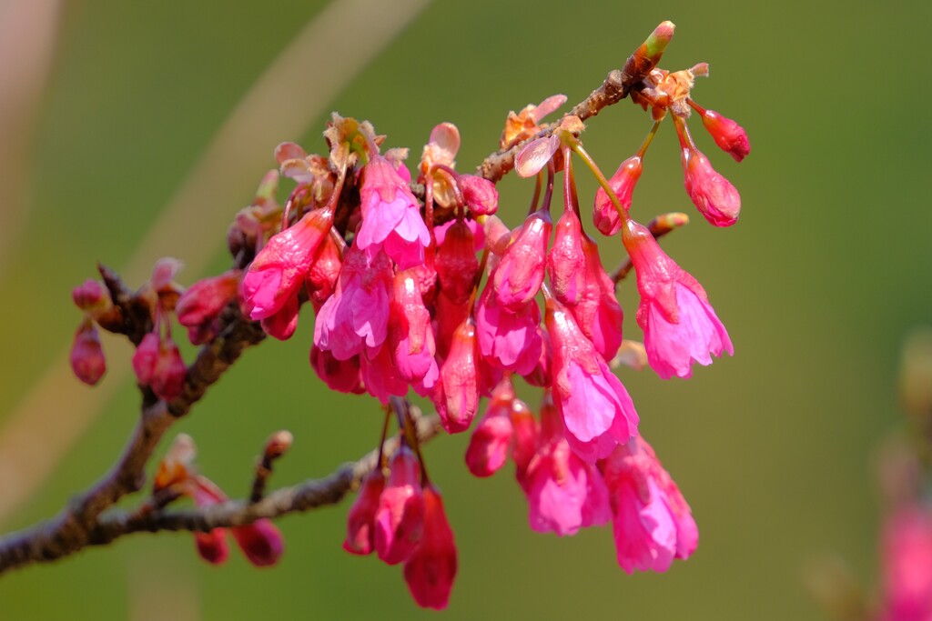 散歩の途中で。Ⅶ