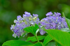 散歩の途中で。４