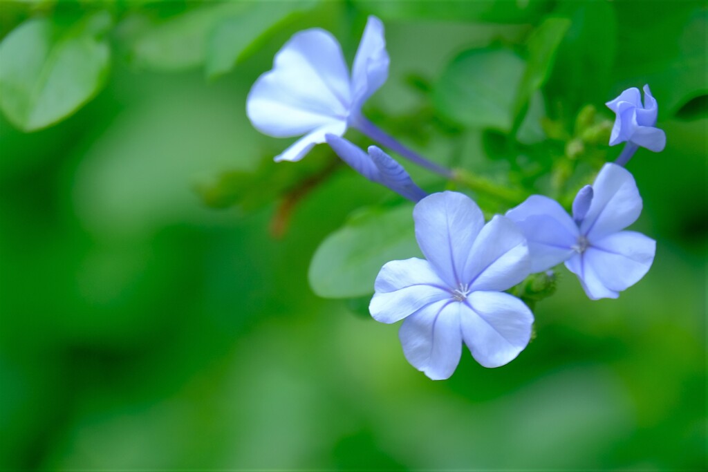 散歩の途中で。③