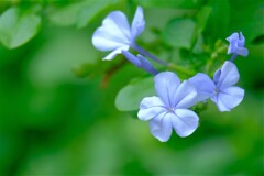 散歩の途中で。③