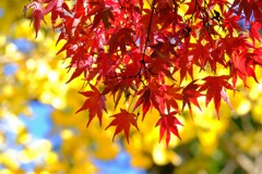 散歩の途中で、①