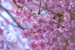 散歩の途中で。③