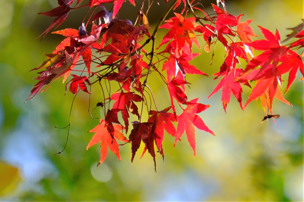 散歩の途中で、１