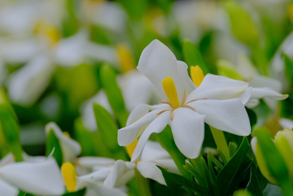 散歩の途中で。