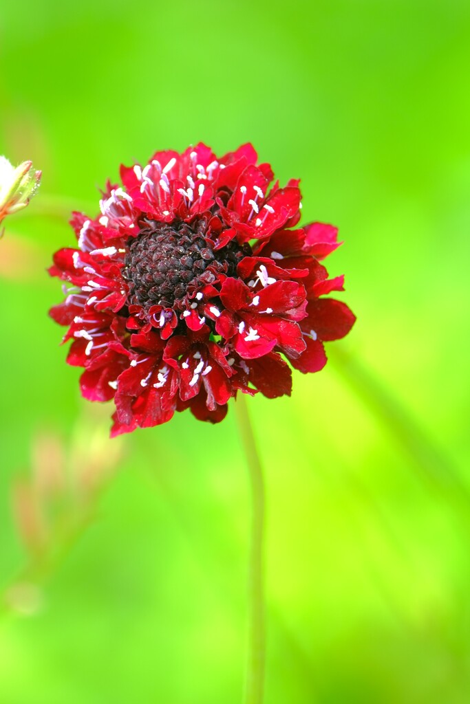 散歩の途中で。２