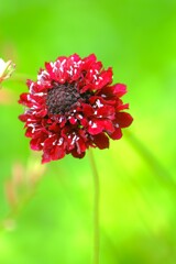 散歩の途中で。２