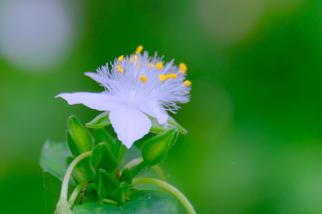 散歩の途中で。