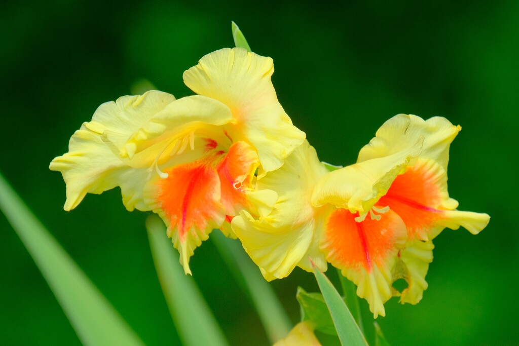 散歩の途中で。