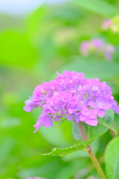 散歩の途中で。