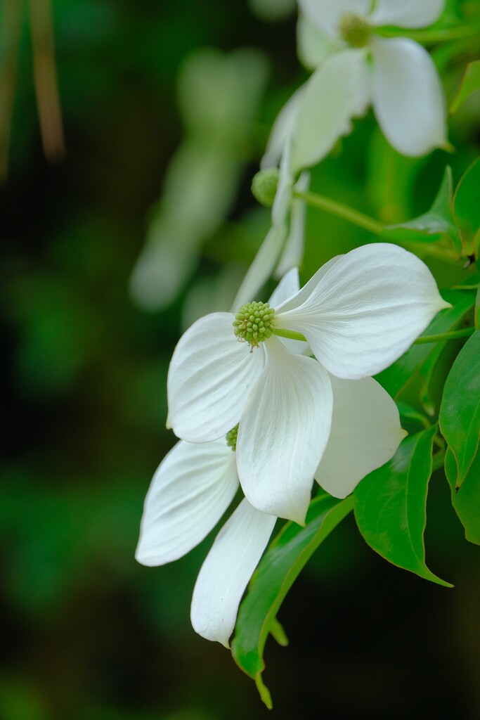 散歩の途中で。３