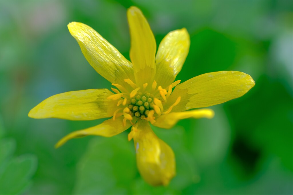 散歩の途中で。④
