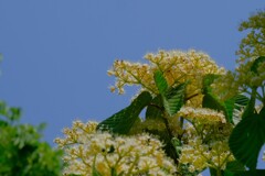 散歩の途中で。（７）