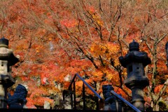 散歩の途中で。⑤