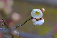 散歩の途中で。Ⅹ