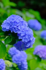 散歩の途中で。③