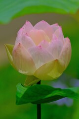 散歩の途中で。⑧