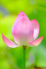 散歩の途中で。１