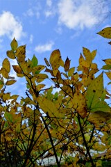 散歩の途中で。3