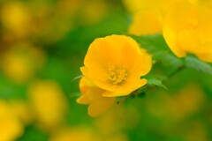 散歩の途中で。Ⅲ