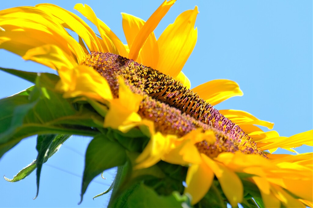散歩の途中で。⑥