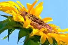 散歩の途中で。⑥