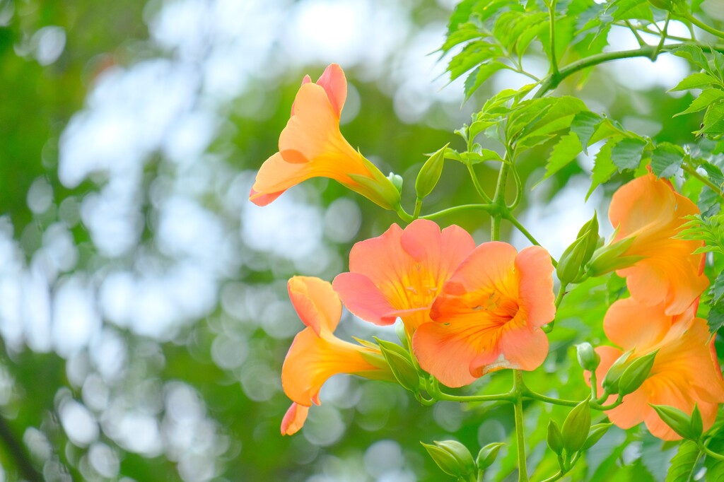 散歩の途中で。