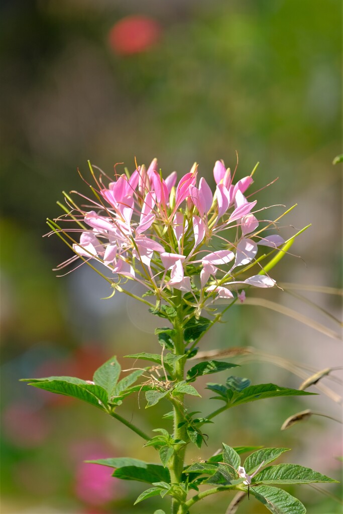 散歩の途中で、3