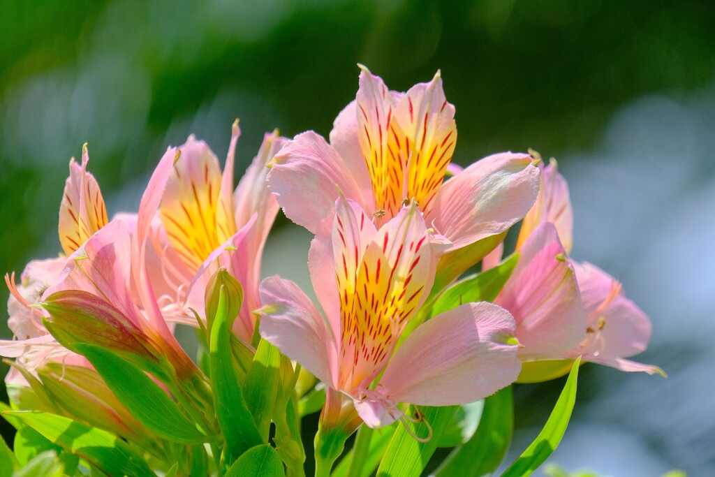 散歩の途中で。