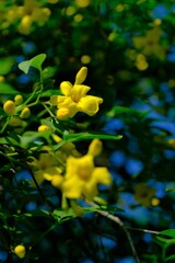 散歩の途中で。⑤