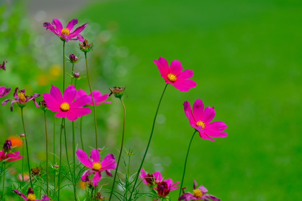 散歩の途中で。５