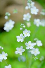 散歩の途中で。10