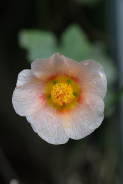 散歩の途中で。Ⅹ