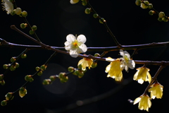 散歩の途中で。３