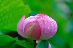 散歩の途中で。Ⅱ