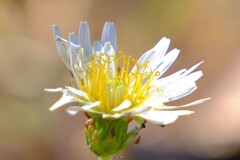 散歩の途中で。Ⅷ