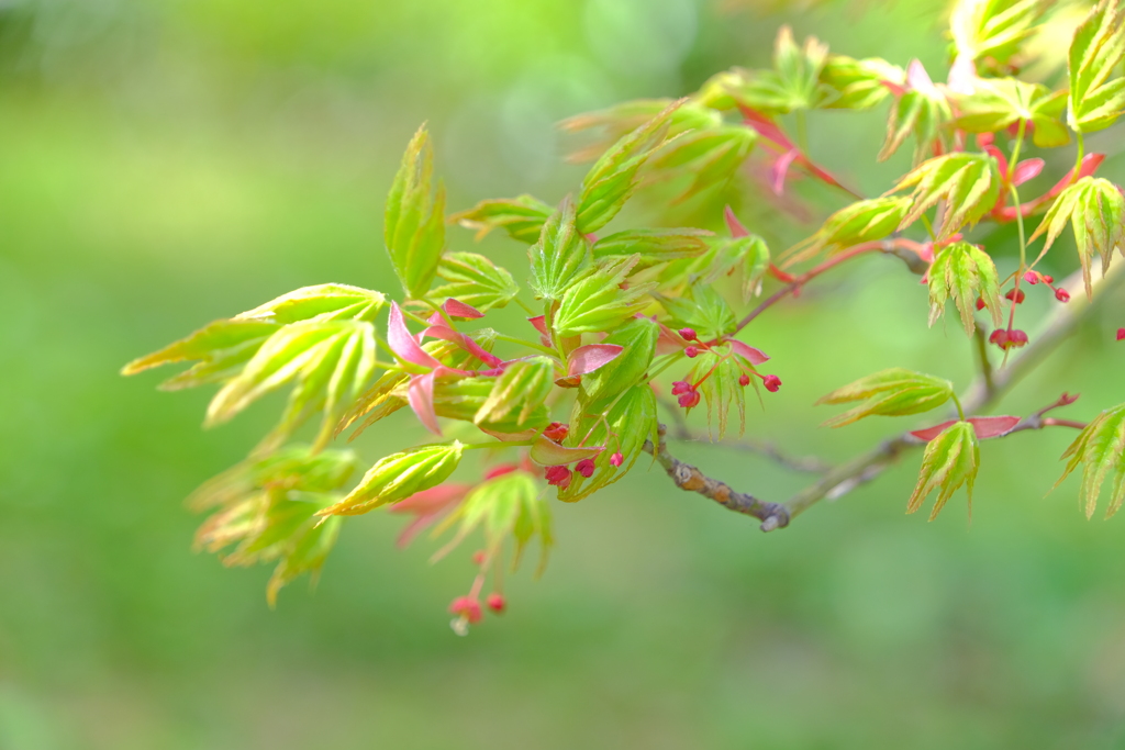 散歩の途中で。⑨