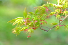 散歩の途中で。⑨