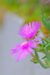 (10)散歩の途中で。7