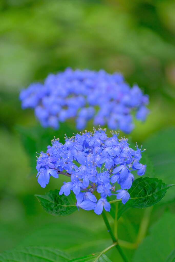 散歩の途中で。Ⅴ
