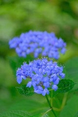 散歩の途中で。Ⅴ