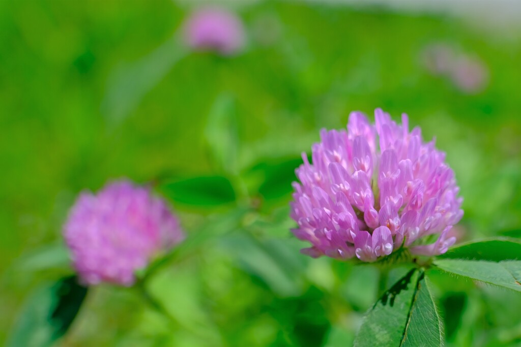 散歩の途中で。Ⅶ