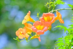 散歩の途中で。