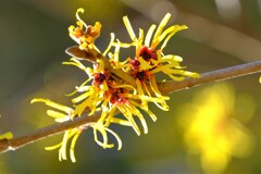 散歩の途中で。Ⅱ